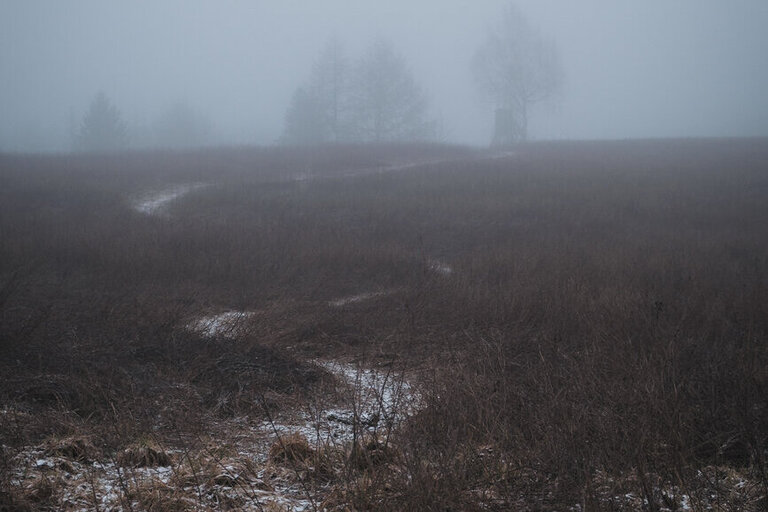 Martinihof-213.jpg  