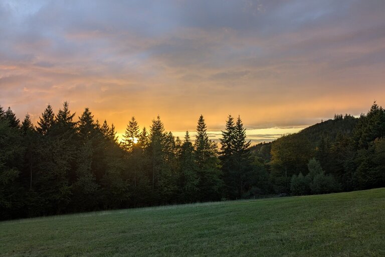 PXL_20250911_172427643.jpg  