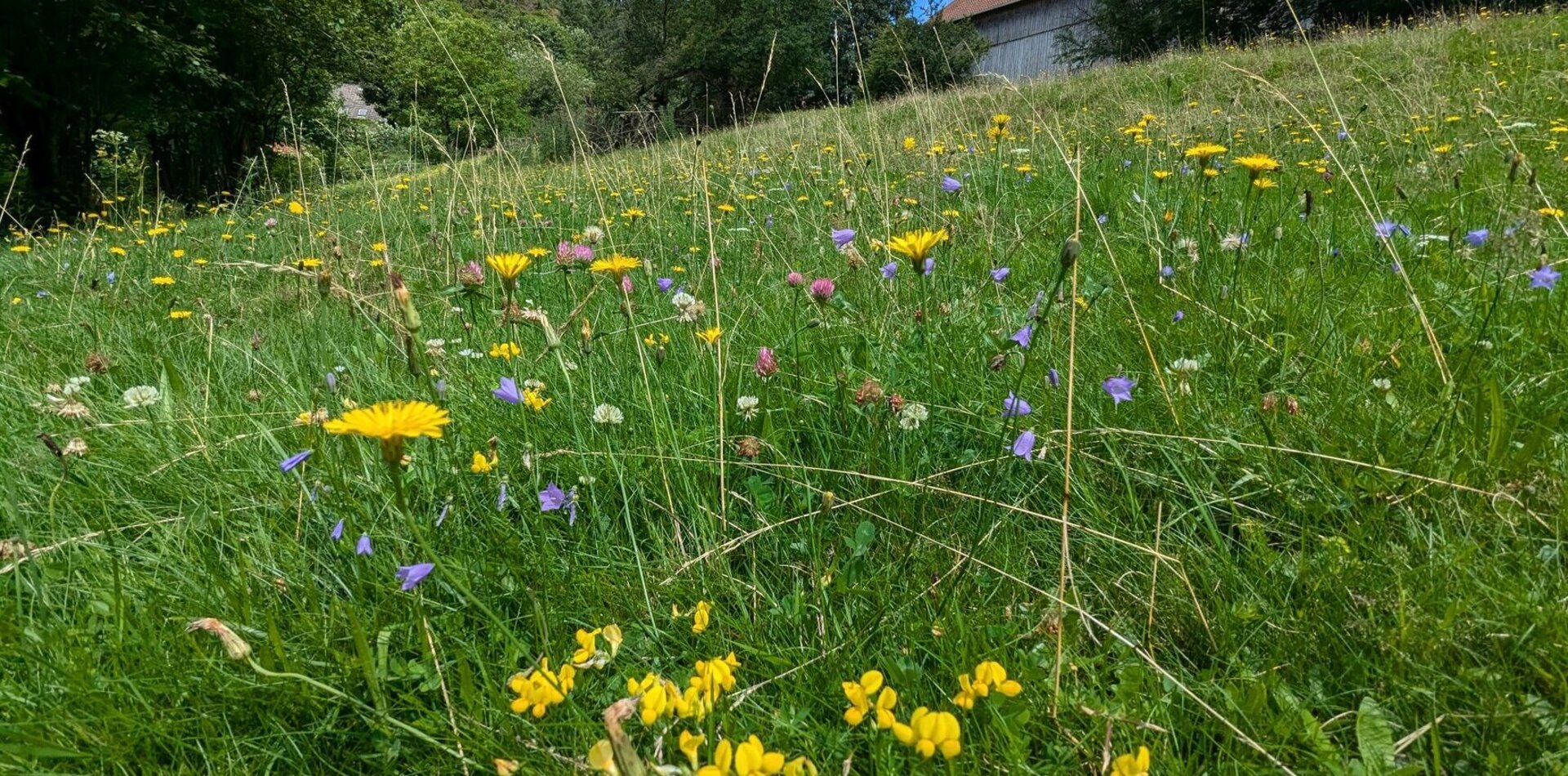 Impressionen